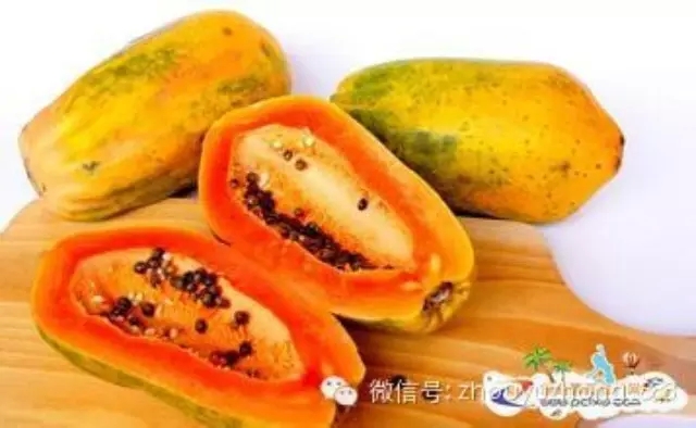 （新媒体网刊第28期）中医养生食疗：木瓜的好处
