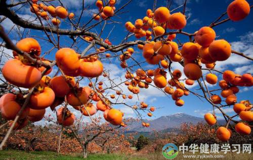 空腹时这些几样东西不能吃！伤胃又伤身！
