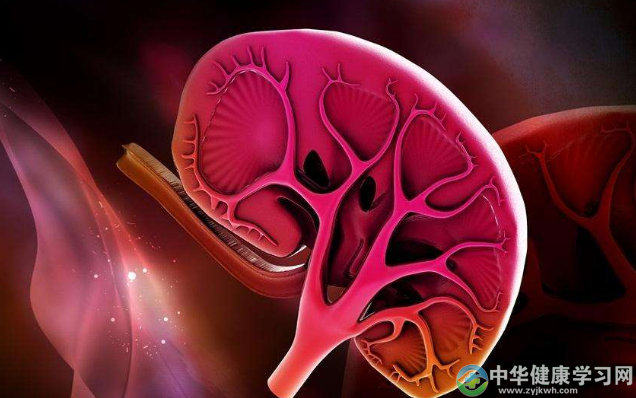 气血两虚之养生与肾阴虚之养生有何不同？